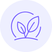 Lifestyle & Stress Management